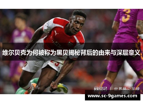 维尔贝克为何被称为黑贝揭秘背后的由来与深层意义